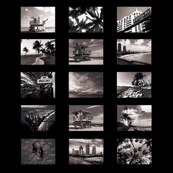 Capelle Miami Film - Mid Length Hybrid Short - Picture 4 of 5